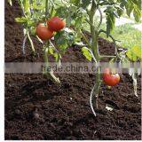 Galvanized Growing Spirals thumbnail-4