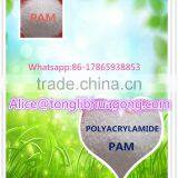 China Factury High Molecular Weight Nonionic Polyacrylamide for Mineral Selection thumbnail-4