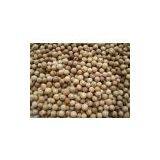 China (Mainland) White Pepper thumbnail-1