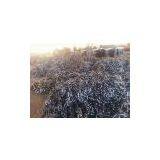 Marine Stud Link Anchor Chain thumbnail-1