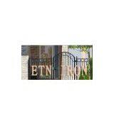 Wrought Iron Gate thumbnail-1