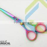 New Professional Design Hair Scissors, Barber Scissors, Salon Scissors