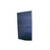 155W Poly solar modules