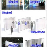Inflatable movable wall partition
