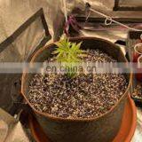 High Quality Low Cost Non Woven Felt Cloth Flowerpot thumbnail-3