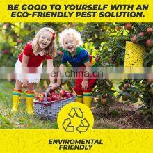 Wholesale Yellow Sticky Traps Flies Pest Type And Eco-friendly Feature High Quality Fruit Fly Glue Board thumbnail-5