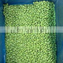 Sinocharm New Season BRC A Approved Organic IQF Soybean Kernels Frozen Shelled Edamame thumbnail-3