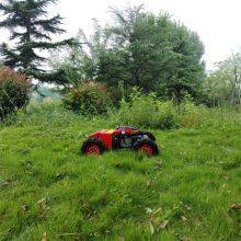 Remote Controlled Lawn Mower, China Rechargeable Brush Cutter Price, Pond Weed Cutter for Sale thumbnail-4