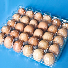 Compound PET/PE Film for Food Packing thumbnail-1