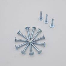 1“ Galvanized Roofing Clout Nails 1kg Box - Standard Compliant for Professional Roofing thumbnail-1