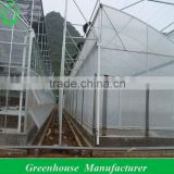 Zigzag Film Greenhouse Sale