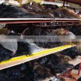 Qingdao Arison Hair Product Co., Ltd. company overview - view 2 thumbnail