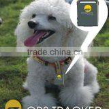 Shenzhen Personal ODM Shoes GPS Tracker and Positioning