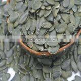 GWS Pumpkin Seeds Animal Feeds thumbnail-3