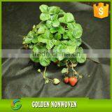 3% or 4% UV Resistance Agricultural PP Fabric Mat Black Nonwoven Ground Cover thumbnail-2