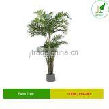Large Areca Palm Tree Kentia Palm Tree thumbnail-1