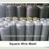 Square Wire Mesh(factory)