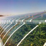 Greenhouse Film thumbnail-1