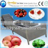 Most Popular Fruit Bubble Washing Machine/fruit and Vegetable Cleaning Machine