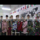 Wenzhou Qichen Industry & Trade Co., Ltd. company overview - view 1 thumbnail