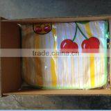 Fruit Design Terry Finishing and Pvc Coated Bib Apron thumbnail-2