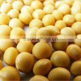 Fermentation Type(YP932B)