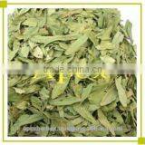 Senna Leaves No. 3 thumbnail-4