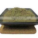 Herbal Extract Fresh Mint Leaves Extract,mint Flavor Powder