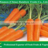fresh carrots supplier