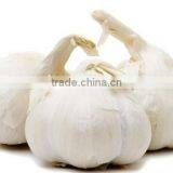 Chinese Fresh Garlic Price in 2016 thumbnail-6