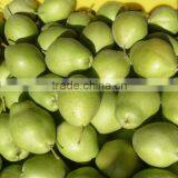 Fresh Early su Pear With Best Price by Whole Sale thumbnail-1