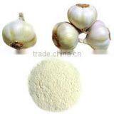 2016 High Quality Dehydrated Garlic Granules thumbnail-4