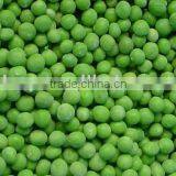 Frozen green pea