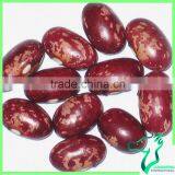 Round Shape Red Speckled Sugar Bean Size/100G 220-240 thumbnail-2