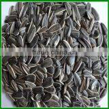 Sale Bulk Best Quality and Cheap Sunflower Seeds For Pet Food thumbnail-1