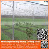 Best Selling Hdpe With uv Greenhouse Insect Net , Plastic Agriculture pe Anti-insect Net , Nylon Insect Net With Low Price thumbnail-1