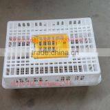High Quality Plastic Chicken/poultry Transport Cage for Sale thumbnail-1
