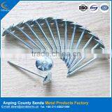 BWG10*2.5" Galvanized Umbrella Head Construction Iron Nails thumbnail-1