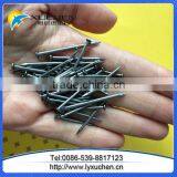 High Quality Wire Nails Factory, Common Wire Nails Price, Steel Wire Nails Manufacture in China thumbnail-4