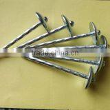 BWG9 BWG10 Export to Africa and Myanmar Indonesia E-galvanized Umbrella Head ROOFING NAILS thumbnail-4