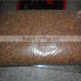 Pet Food Type Nutrient Mealworm, Tenebrio Molitor Chicken Feed thumbnail-3