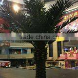 SJ12001204 Fake Plastic Big Trees Plam Tree thumbnail-4