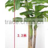Indoor Artificial Banana Tree Bonsai Potted Plants for Sale thumbnail-2