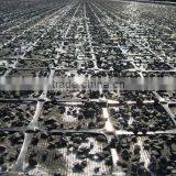 Plastic Geogrid for Soil Reinforcement thumbnail-6