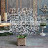 ATW1503 Factory Direct Peacock Coral Branches Tricolor Simulation Flower Artificial Flower thumbnail-4