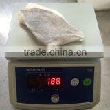 Frozen John Dory Fillet thumbnail-3