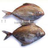 Frozen Black Pomfret thumbnail-1