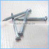 High-strength Galvanized Steel Cement Nail for Construction thumbnail-4