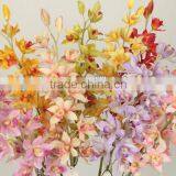 27423 phalaenopsis long stem orchid celebration outdoor bendable flower