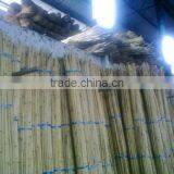 Raw Rattan Cane, Rattan, Cane, Rattan Meterial, Raw Material, Rattah Raw Mateiral, Rattan Cane, Rattan Pole, Pole, Raw thumbnail-2